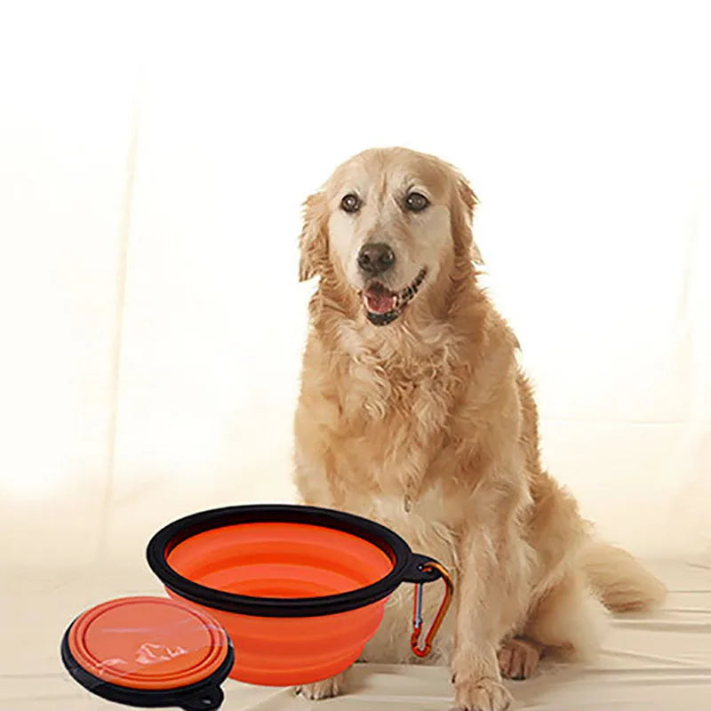 Travel Foldable Bowl