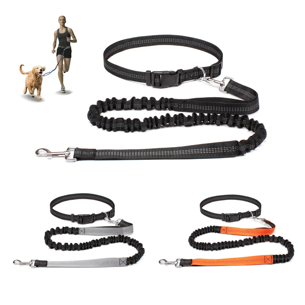 Hand Free Dog Leash for Pet Walking