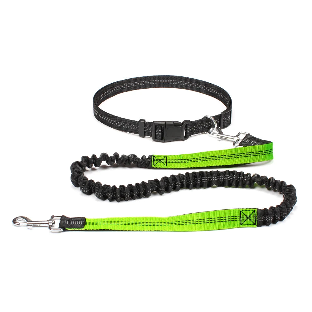 Hand Free Dog Leash for Pet Walking