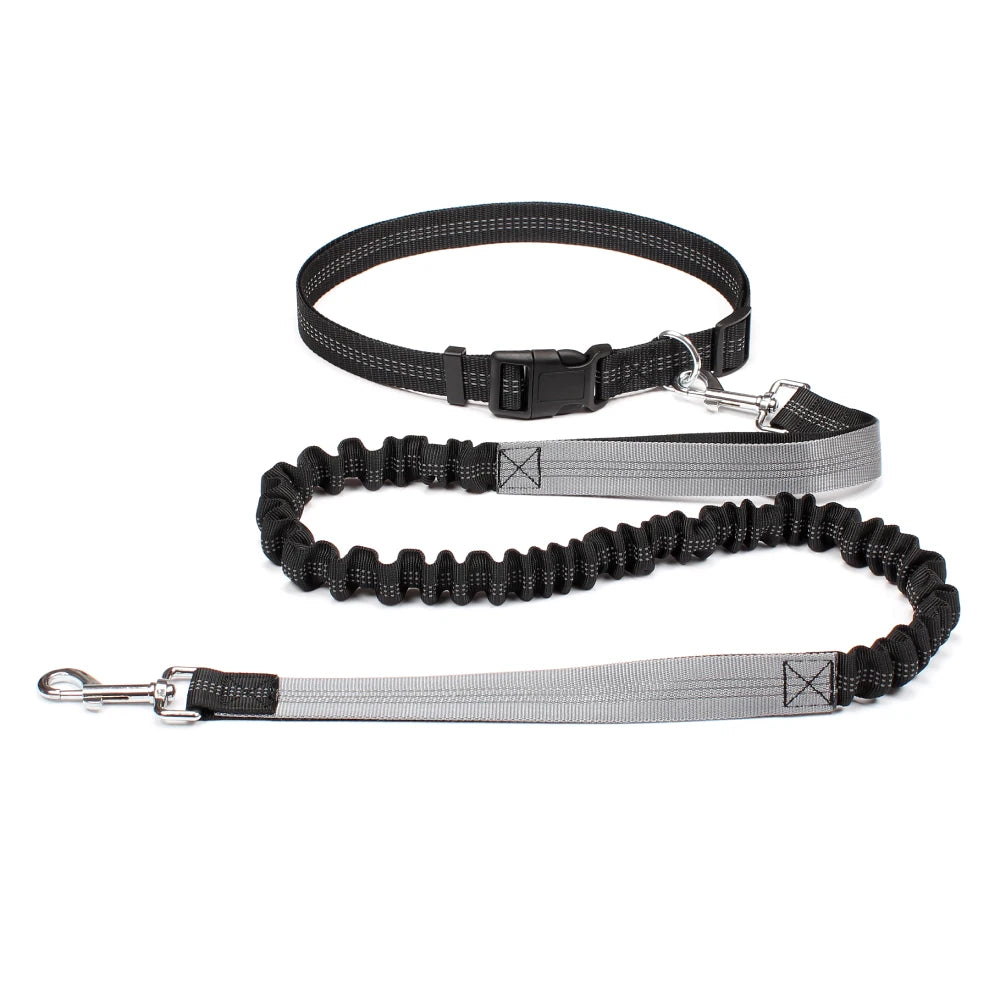 Hand Free Dog Leash for Pet Walking