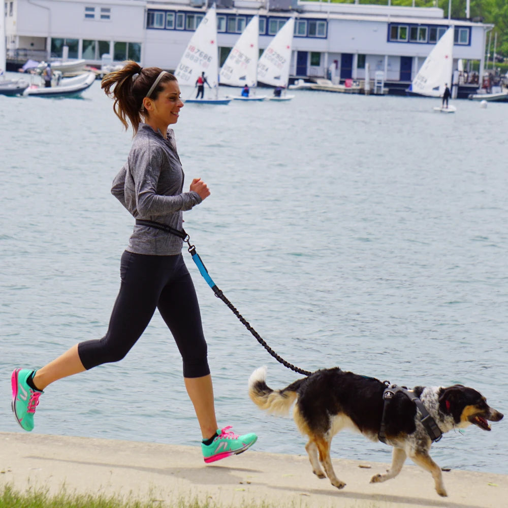 Hand Free Dog Leash for Pet Walking
