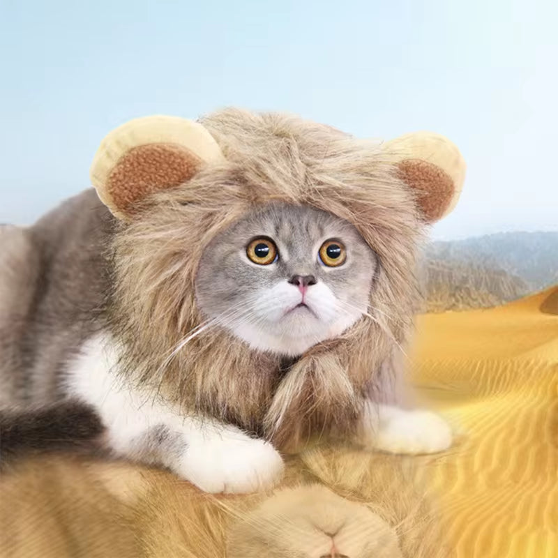 Cute Lion Mane Wig For Small Pets