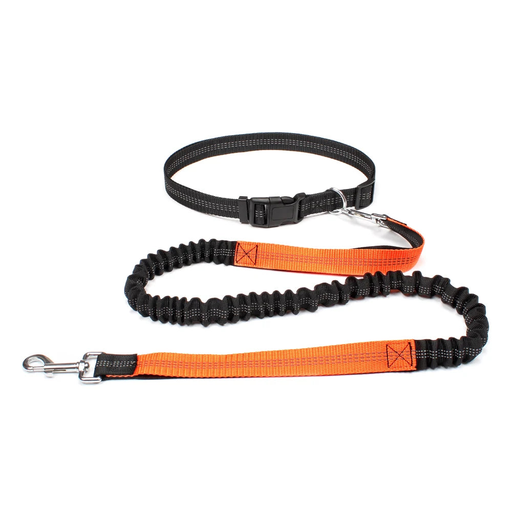 Hand Free Dog Leash for Pet Walking