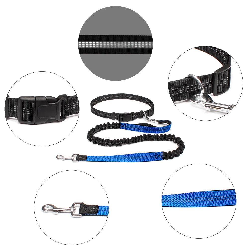 Hand Free Dog Leash for Pet Walking