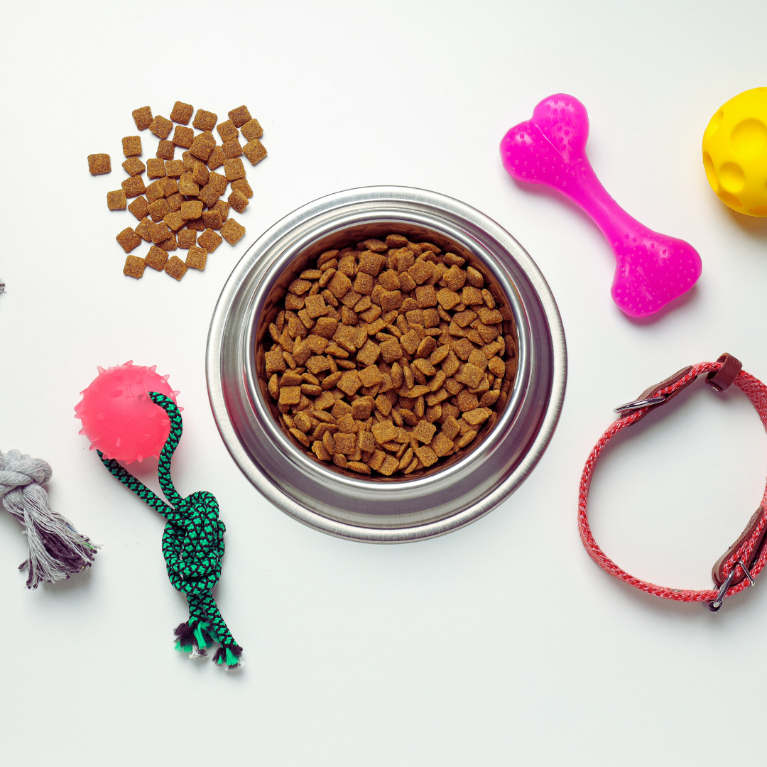 Pet Accessories