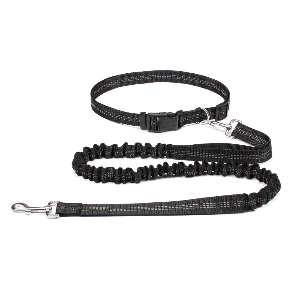 Hand Free Dog Leash for Pet Walking