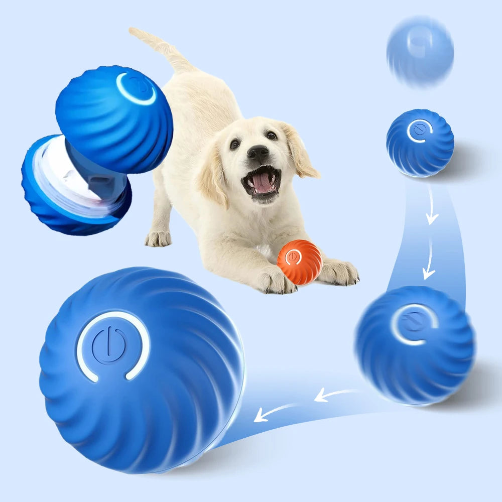 Smart Pet Toy Ball