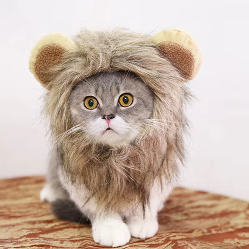 Cute Lion Mane Wig For Small Pets