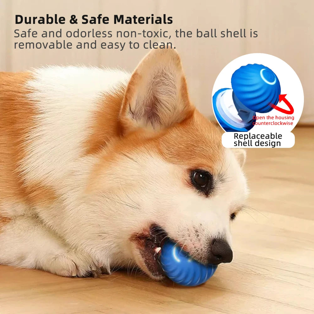 Smart Pet Toy Ball