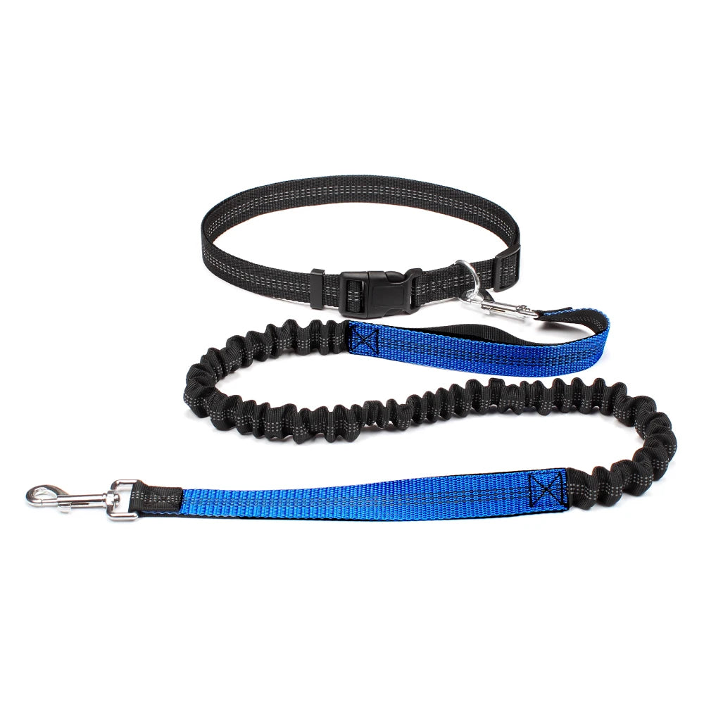 Hand Free Dog Leash for Pet Walking