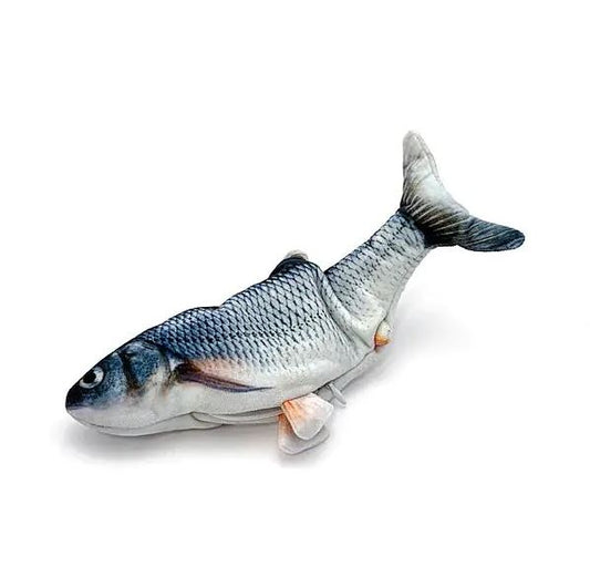 Fish Cat Toy
