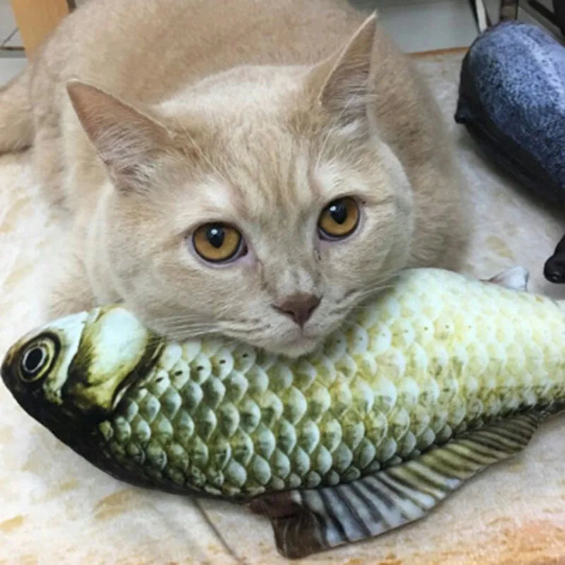 Fish Cat Toy