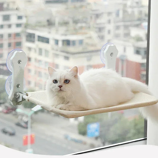 Cat Hammock