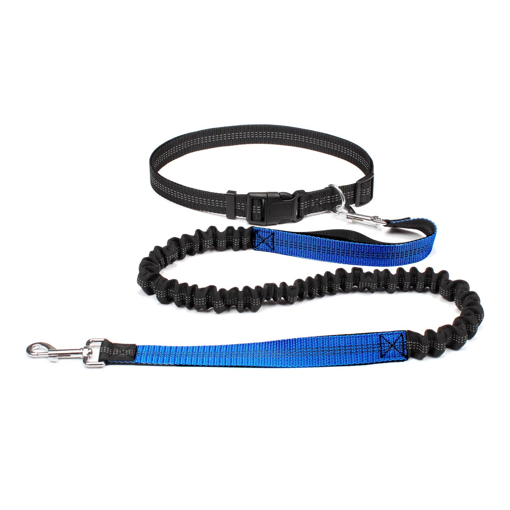 Hand Free Dog Leash for Pet Walking