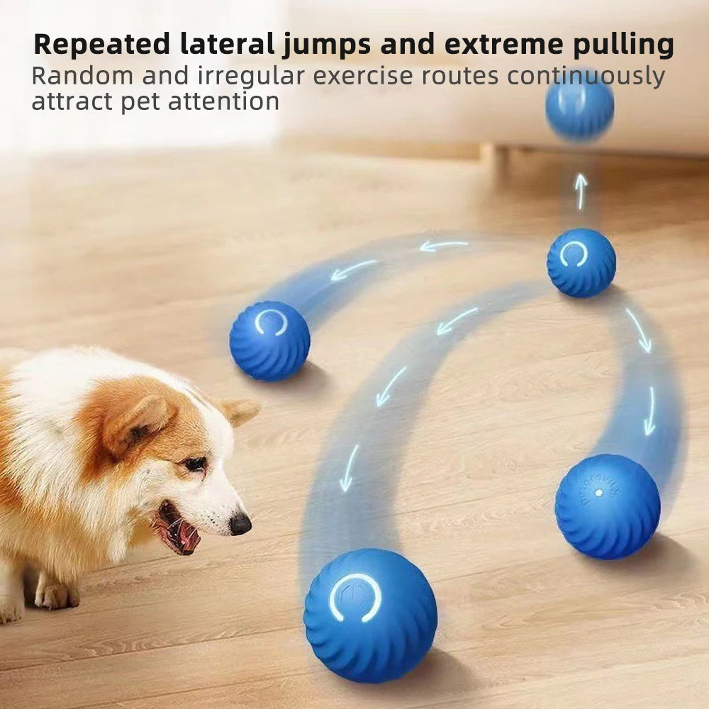 Smart Pet Toy Ball