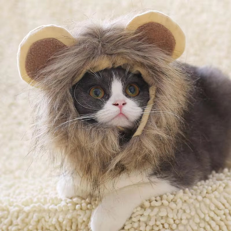 Cute Lion Mane Wig For Small Pets