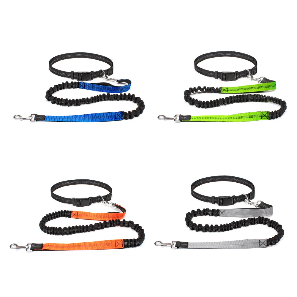 Hand Free Dog Leash for Pet Walking