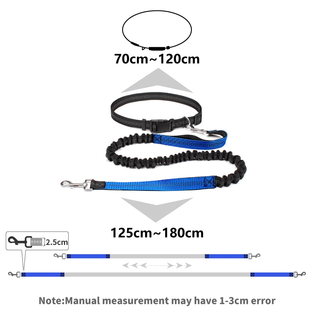 Hand Free Dog Leash for Pet Walking